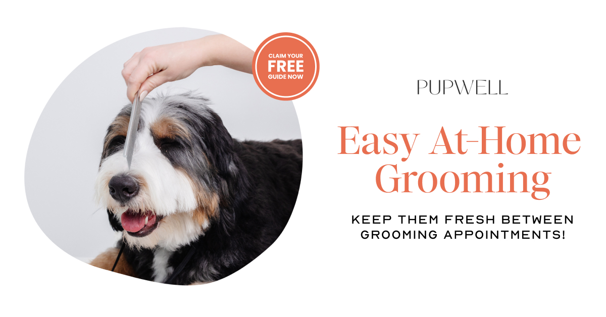 Pupwell ad preview