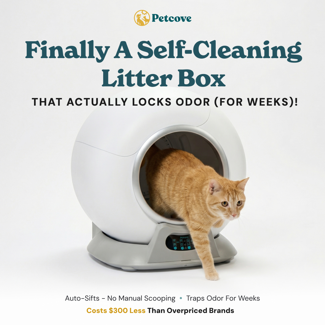 Petcove Shop ad preview