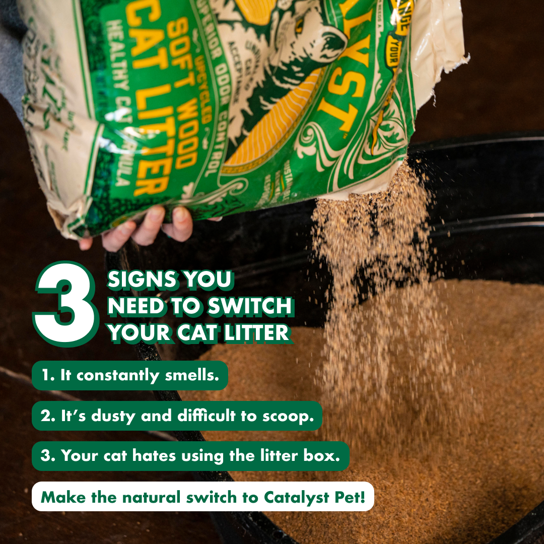 Catalyst Pet Natural Litter ad preview