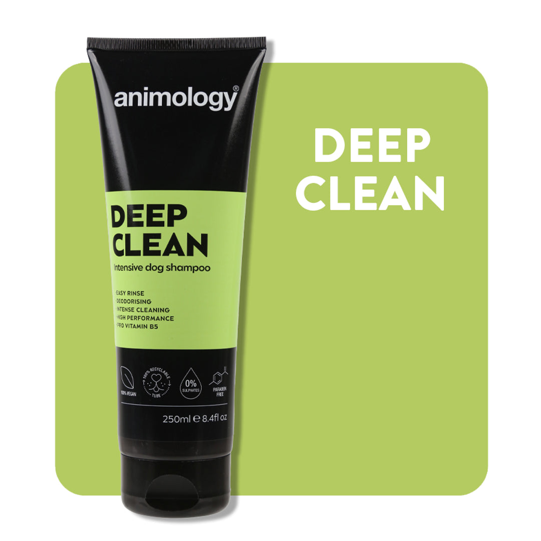 Animology ad preview