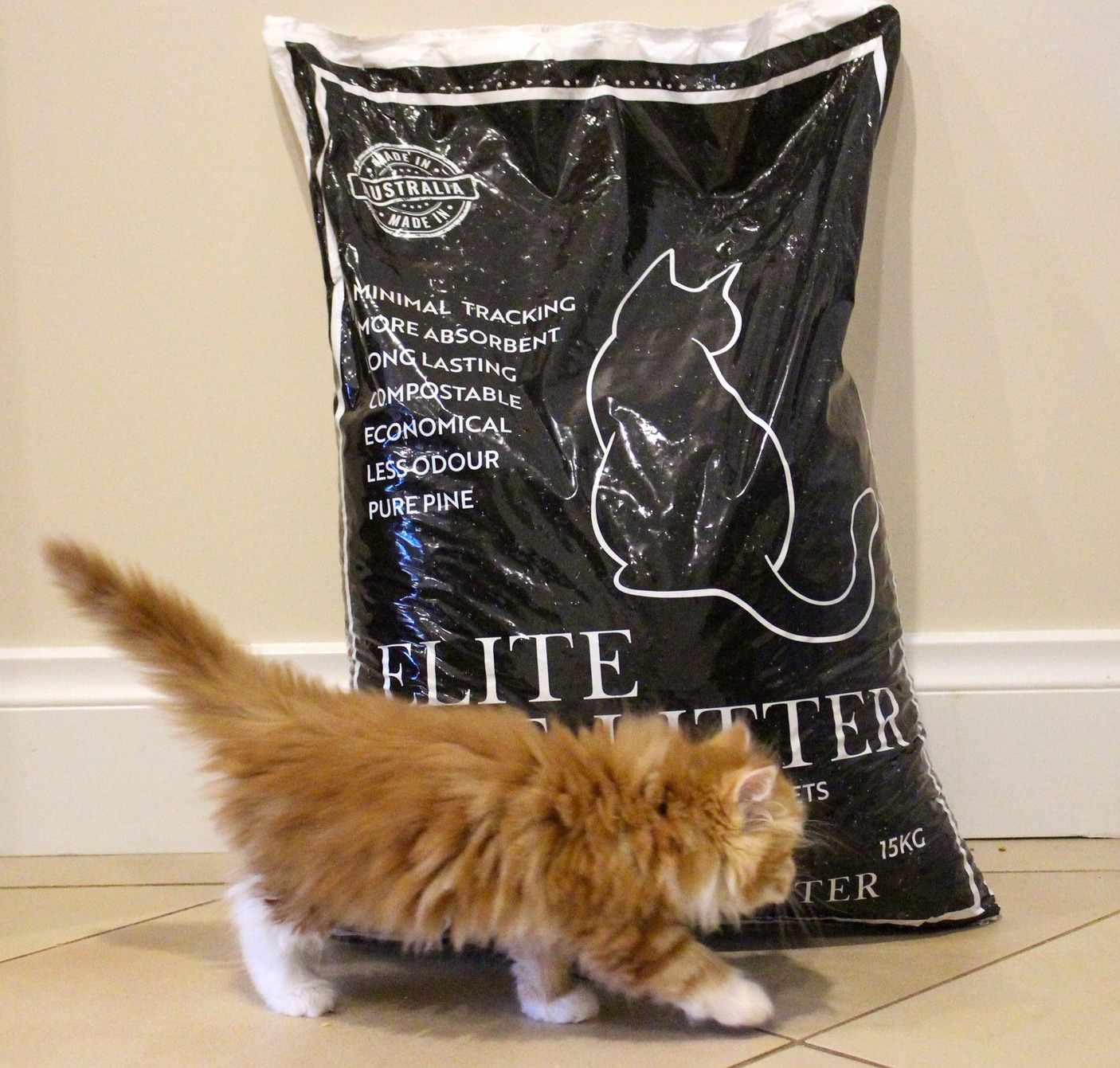 Elite Cat Litter ad preview